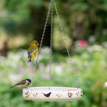 Bird Feeding Dish Myrte - image 1