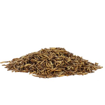 Bird Food Mealworm 1.2Kg Bag - image 2