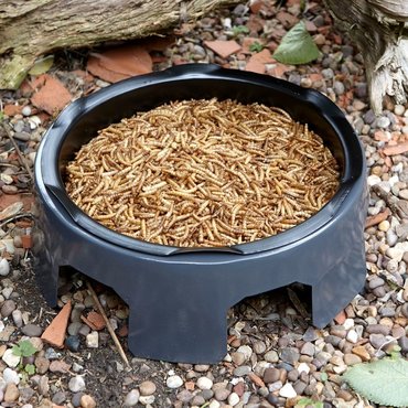 Bird Food Mealworm 400g Pouch - image 2
