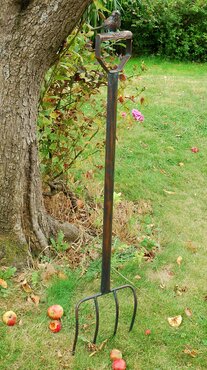 Bird on Garden Fork