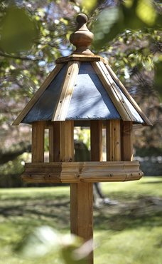 Bird Table Dovesdale - image 1