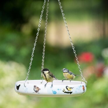 Bird Water Dish Myrte - image 1