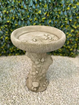 Birdbath English Rose Sherwood - image 1