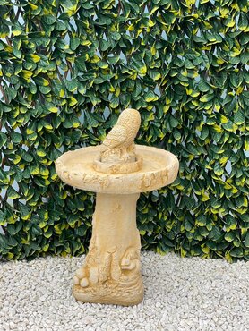 Birdbath Owl SA - image 2