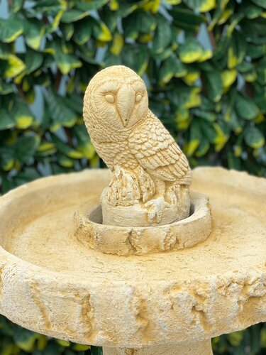 Birdbath Owl SA - image 3