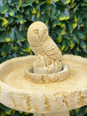 Birdbath Owl Sandstone - image 3
