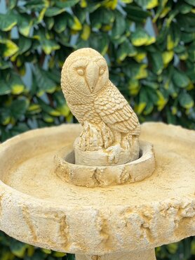 Birdbath Owl SA - image 3
