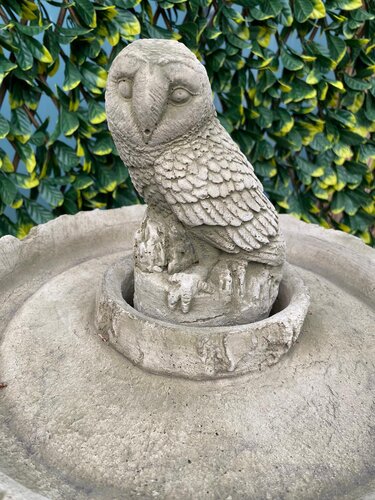 Birdbath Owl Sherwood - image 2