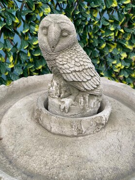 Birdbath Owl Sherwood - image 2