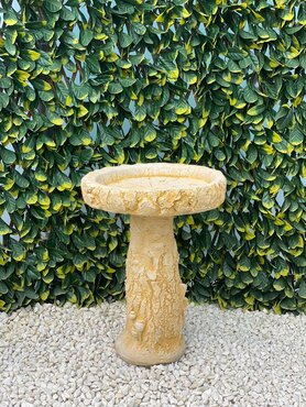Birdbath Silver Birch SA
