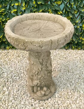 Birdbath Silver Birch SH