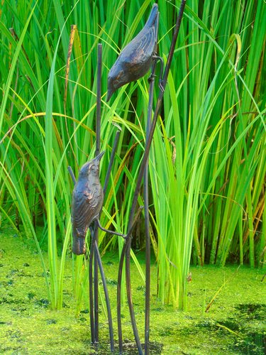 Birds On Reeds