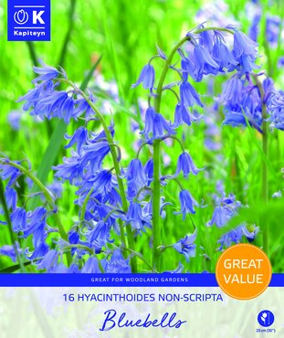 Bluebells Promo Pack - image 1