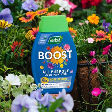 Boost All Purpose Liquid Plant Food 1L - image 2