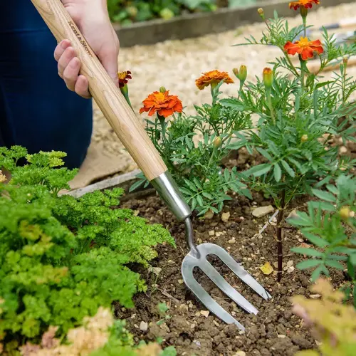 Border Hand Fork Stainless Steel - image 2