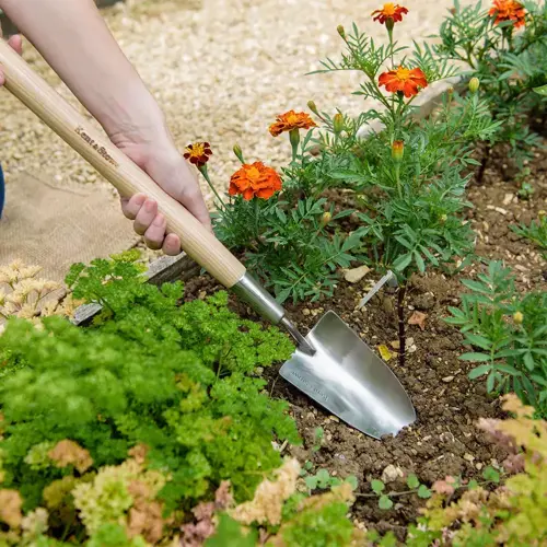 Border Hand Trowel Stainless Steel - image 2