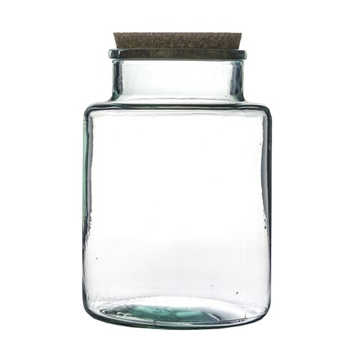 Bottle Terrarium Kit 26.5cm