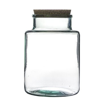 Bottle Terrarium Kit 26.5cm