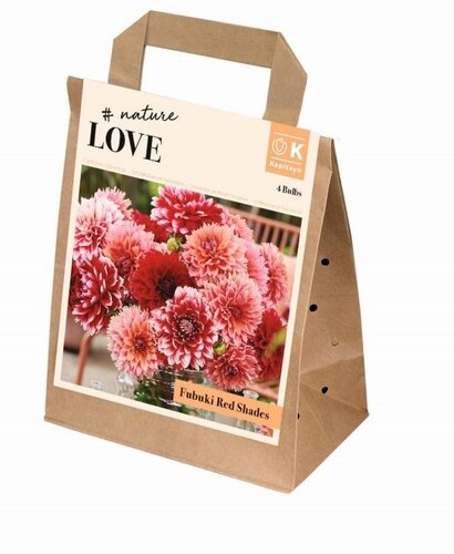 Bouquet Fubuki Red Shades