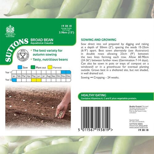 Broad Bean Seeds (Aquadulce Claudia) - image 4