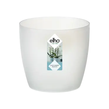 Brussels Transparent Orchid Pot