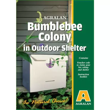 Bumble Bee Colony in Outdoor Shelter Voucher Pack