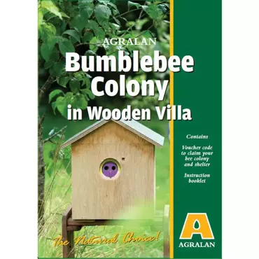 Bumble Bee Colony In Wooden Villa Voucher Pack