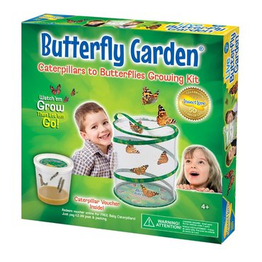 Butterfly Garden - image 1
