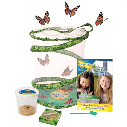 Butterfly Garden - image 2