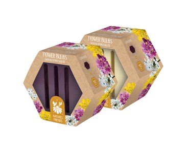 Butterfly House Allium Gift Set