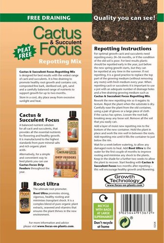 cactus succulent compost potting mix