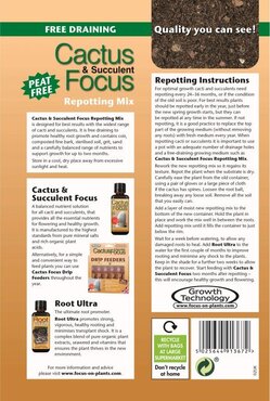 cactus succulent compost potting mix