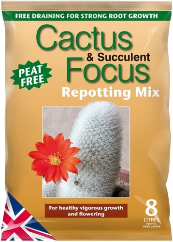 cactus and succulent compost potting mix