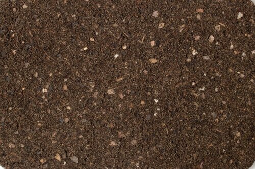 cactus succulent compost potting mix
