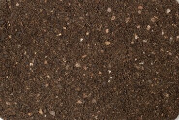 cactus succulent compost potting mix