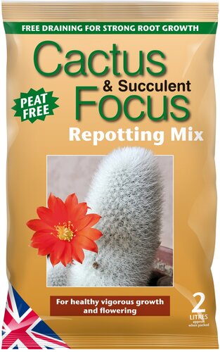 cactus succulent compost potting mix