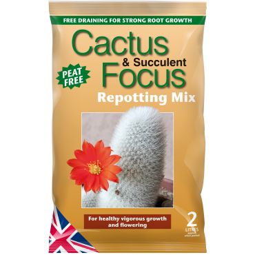 Cactus Focus Repotting Mix (2L)