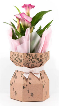 Calla Lily in Gift Box 12cm