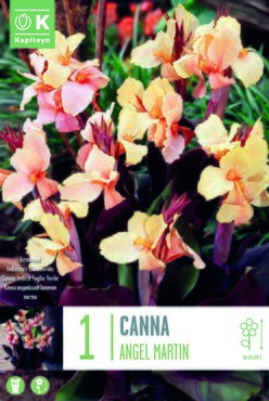 Canna Angel Martin