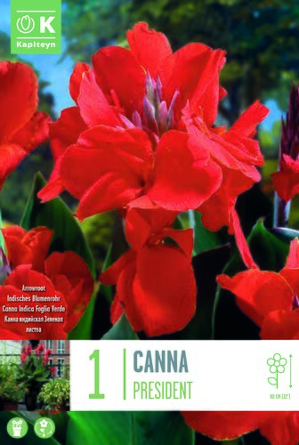 Canna President