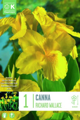 Canna Richard Wallace