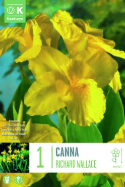 Canna Richard Wallace