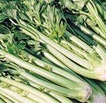 Celery Self Blanching 6 Pack