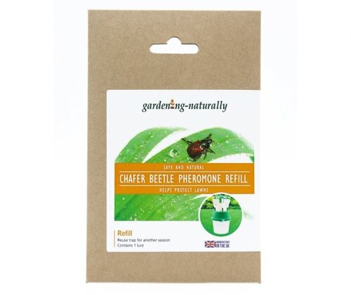 Chafer Beetle Pheromone Refill