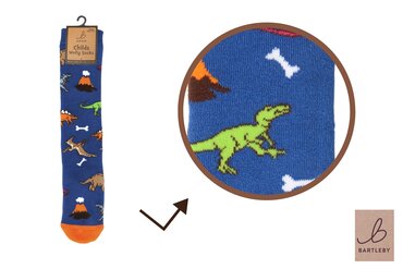 Childs Welly Sock Little Dinos