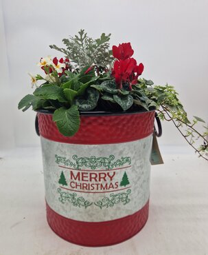 Christmas Drum Planter Large 37cm