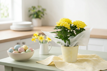 Chrysanthemum Disbud in Zinc 14cm - image 2