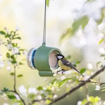 CJ Rio Peanut Butter Feeder - image 2