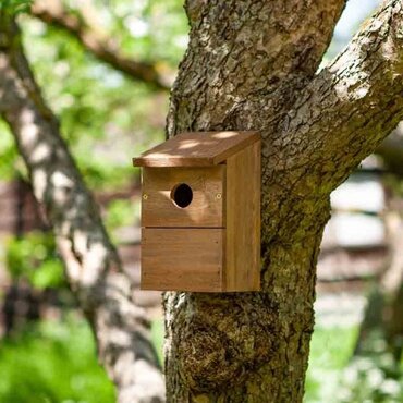 Classic Nest Box - image 1