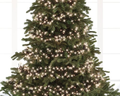 Led Cluster Lights x 1512 Warm White/Green Cable 13.5m - image 2
